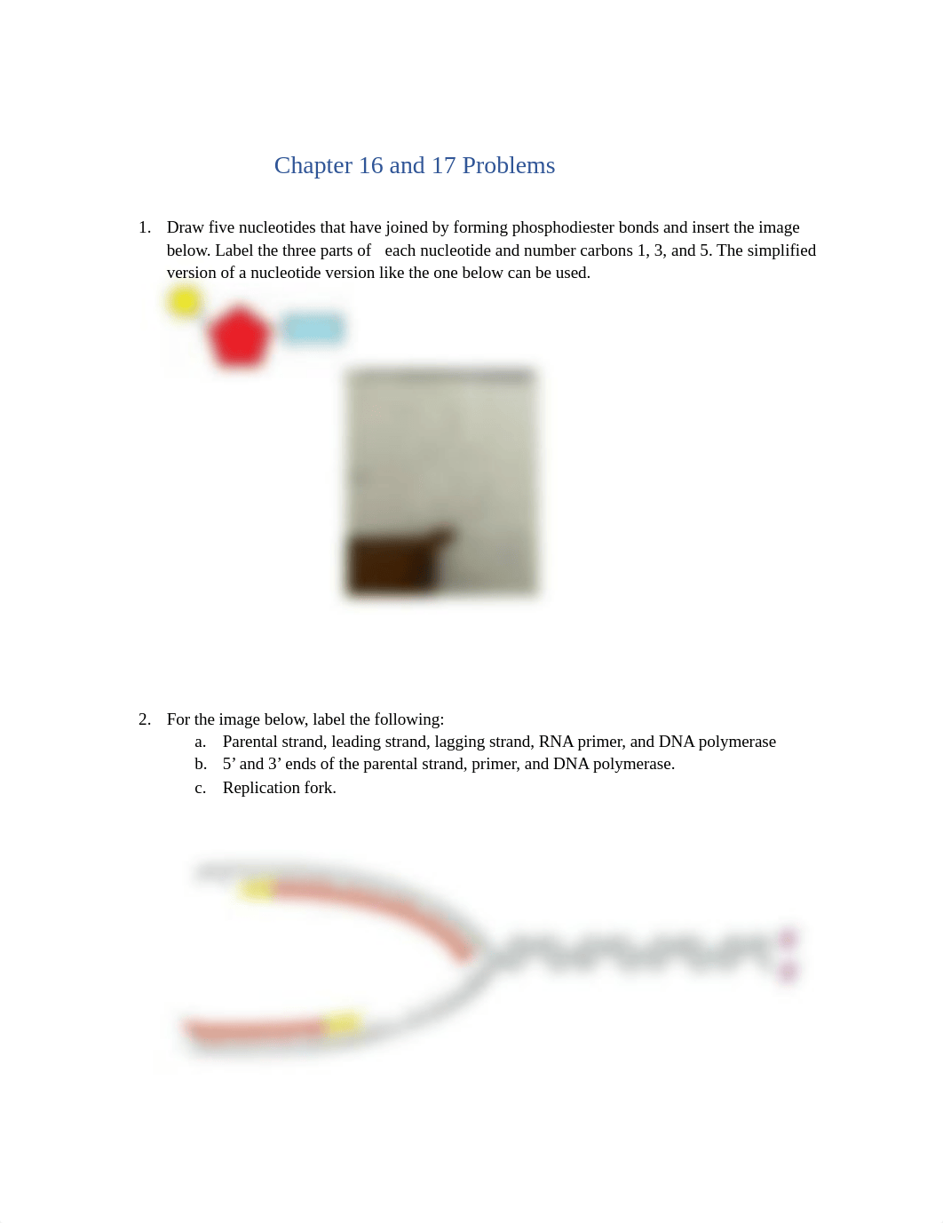 Chapter 16 and 17 Practice Problems FA2021.docx_dapcp9ixfs4_page1