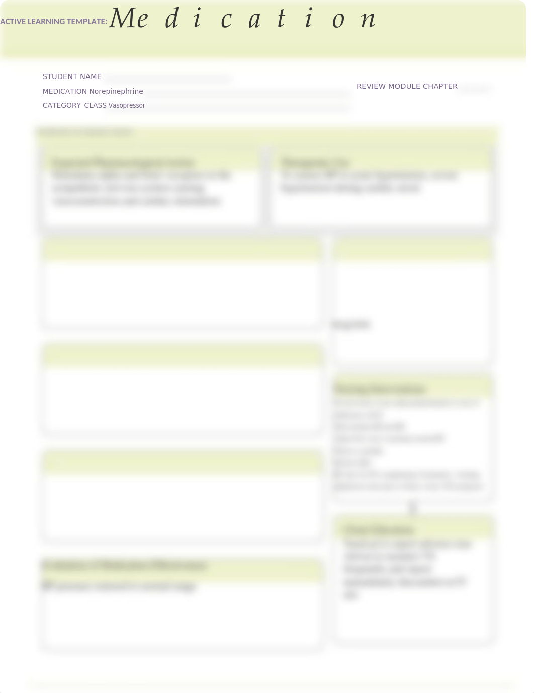 ATI Medication Form Norepinephrine.docx_dapnk1yssgj_page1