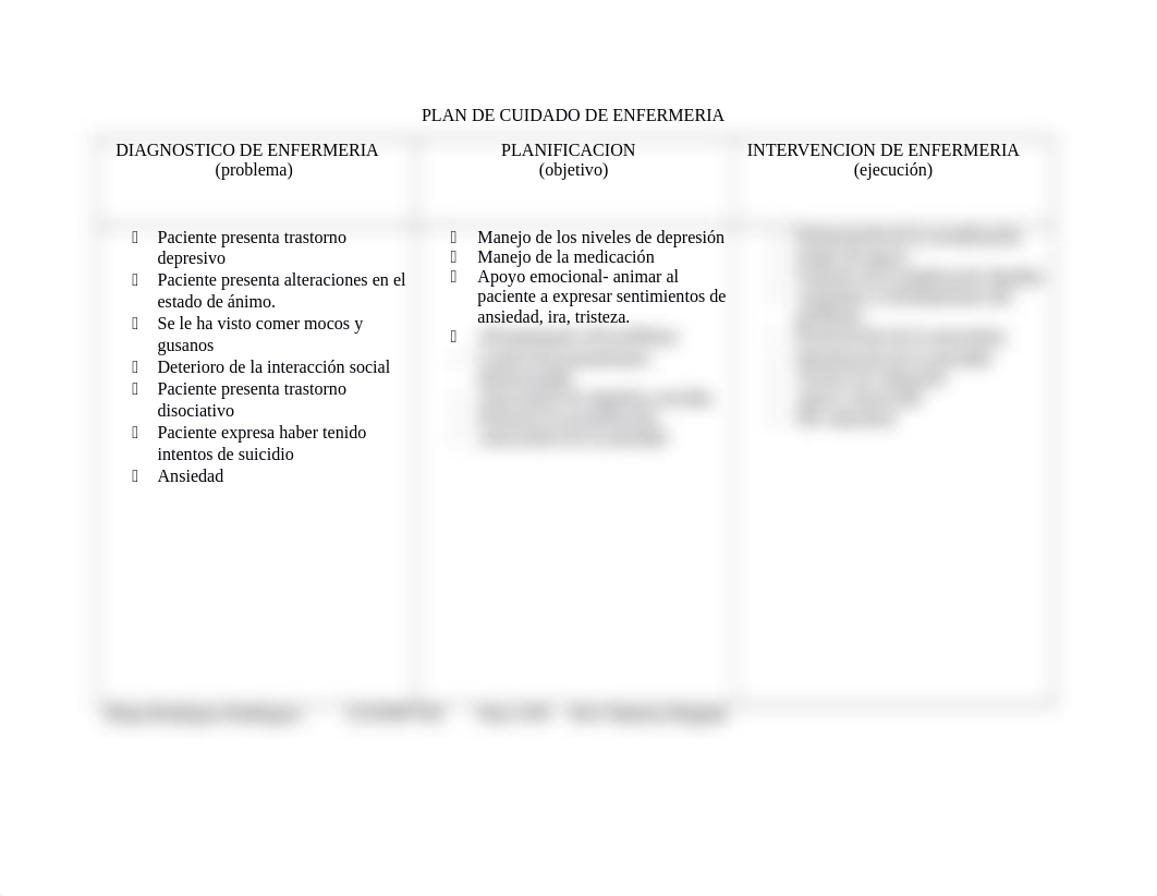 Nurs 2545 Instrumento de necesidades y PLAN DE CUIDADO DE ENFERMERIA .docx_dappsxhu72z_page1