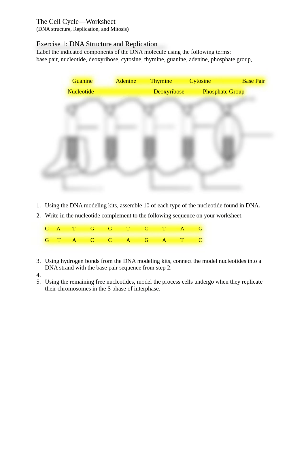 Cell_Cycle_Worksheet_Entryticket(1).docx_dapr0pilzon_page2