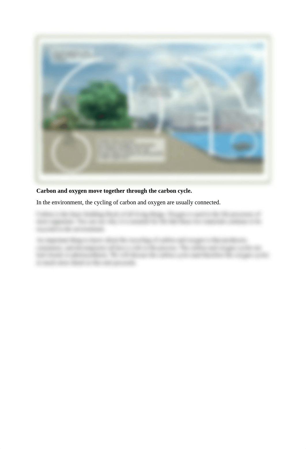 Earth Science 3.01 Cycles on Earth 3.02 Nitrogen cycle 3.03 Carbon Cycle.docx_daprxqfv76m_page3