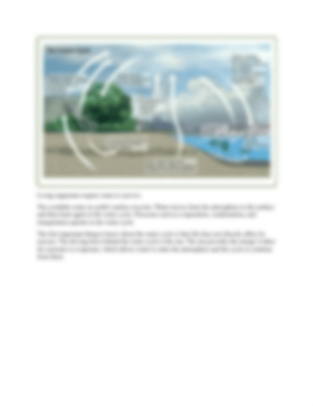 Earth Science 3.01 Cycles on Earth 3.02 Nitrogen cycle 3.03 Carbon Cycle.docx_daprxqfv76m_page4