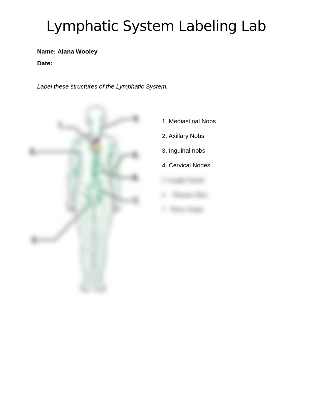 Lymphatic System Labeling Lab AW.docx_dapwgvnunah_page1