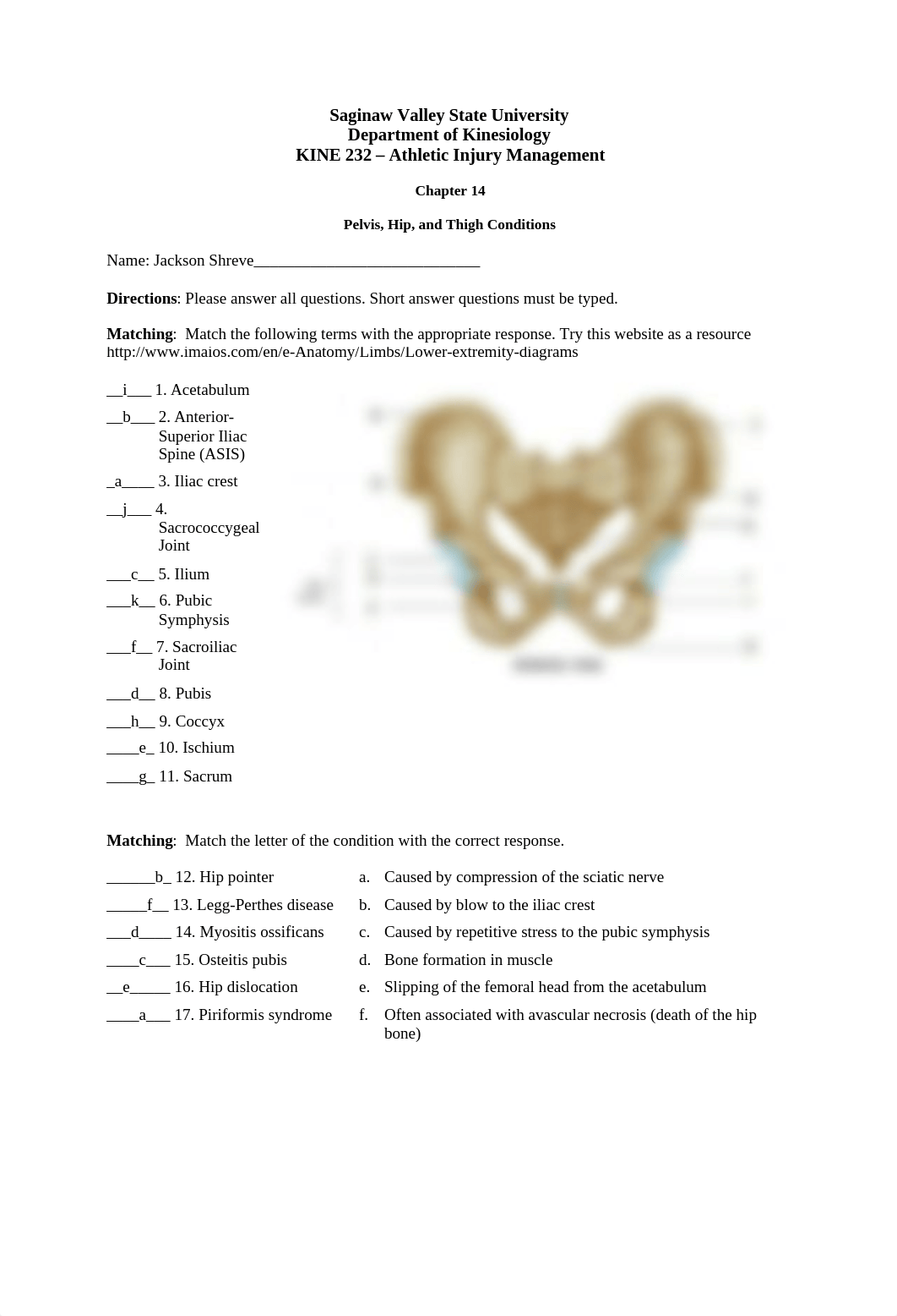 Chapter 14 - Pelvis Conditions.docx_dapyppv2y00_page1