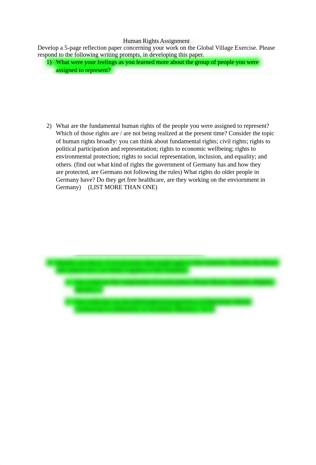 Human Rights Assignment .docx_daq19k2uq3z_page1