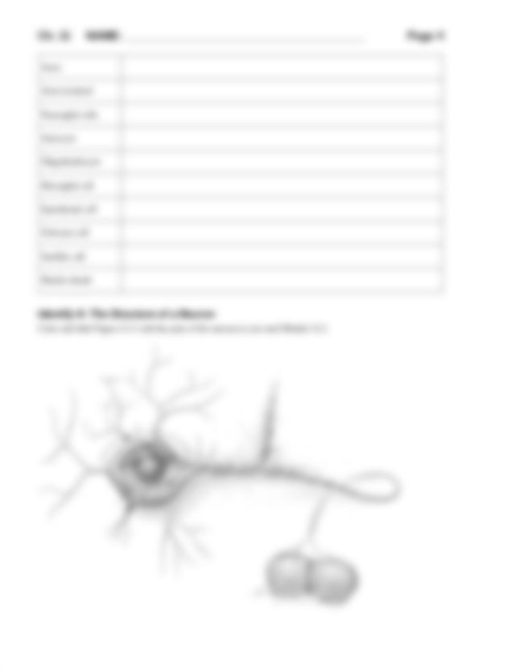 Chapter11_HW_NervousTissue.pdf_daq1xh4nujv_page4