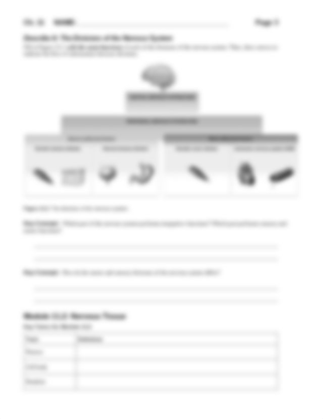 Chapter11_HW_NervousTissue.pdf_daq1xh4nujv_page3