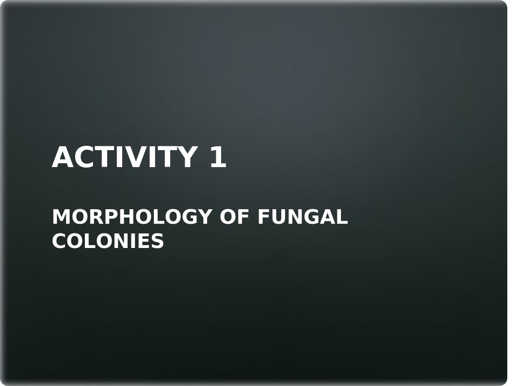 4 Bacterial Yeast and Fungal Colonies.pptx_daq2cw1cbgj_page3