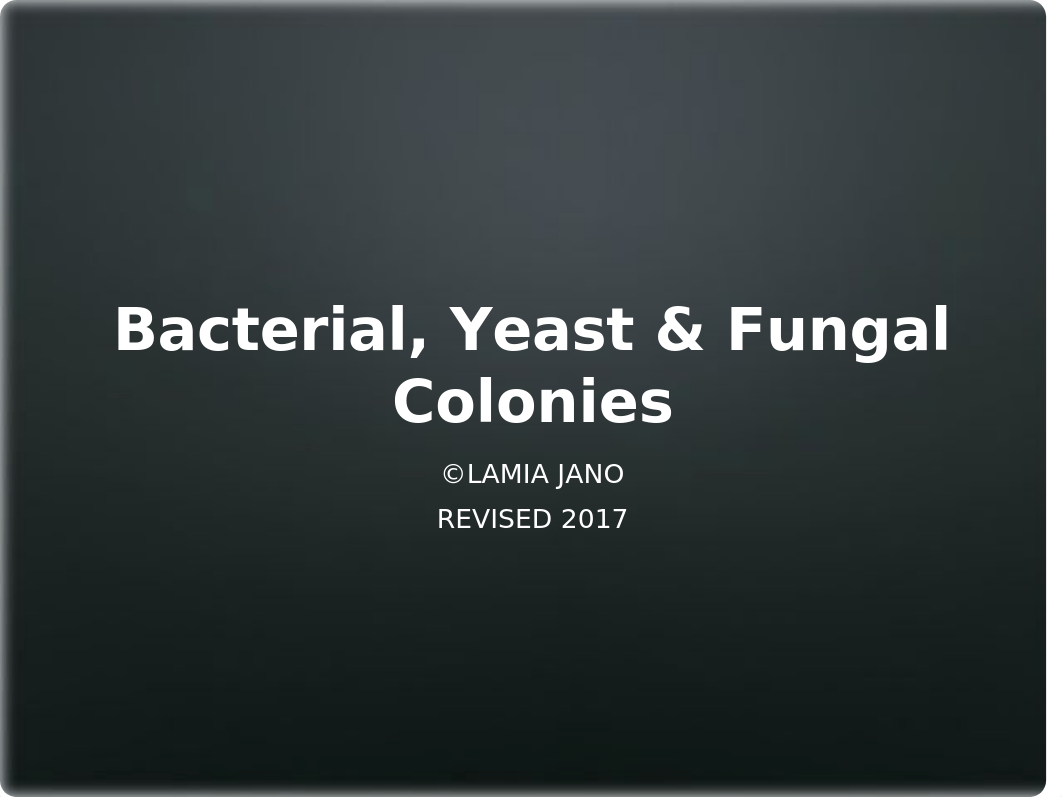 4 Bacterial Yeast and Fungal Colonies.pptx_daq2cw1cbgj_page1