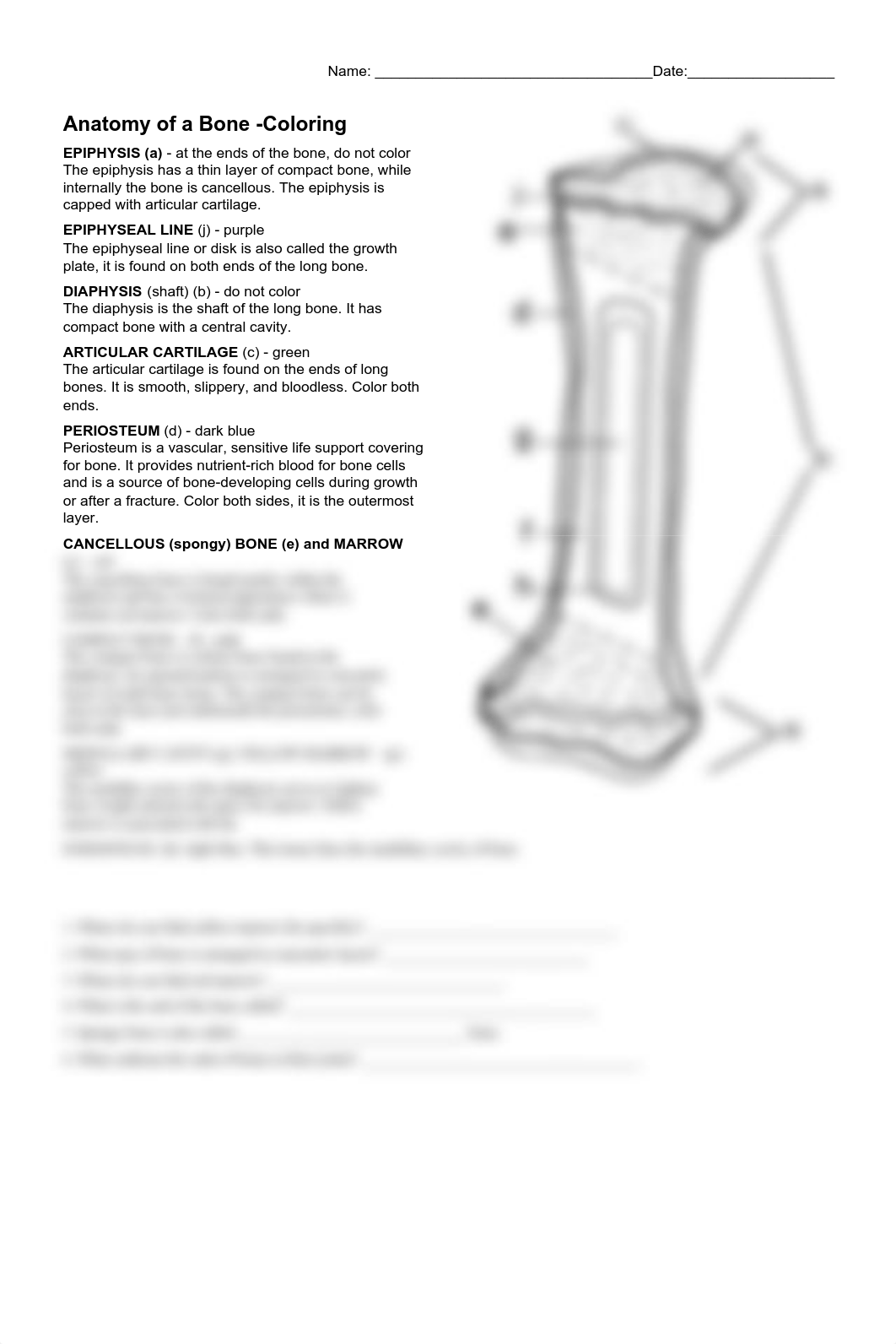 Bone Coloring.pdf_daq4k4f1hfd_page1