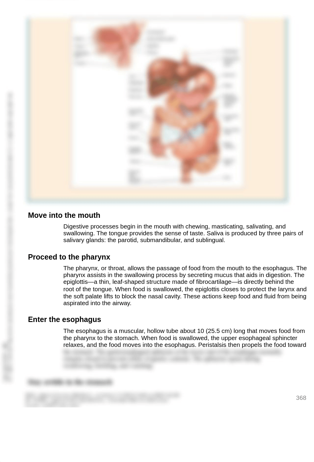 LippincottWilli_2013_12GastrointestinalSys_AssessmentMadeIncredi.pdf_daq8wswihlt_page3