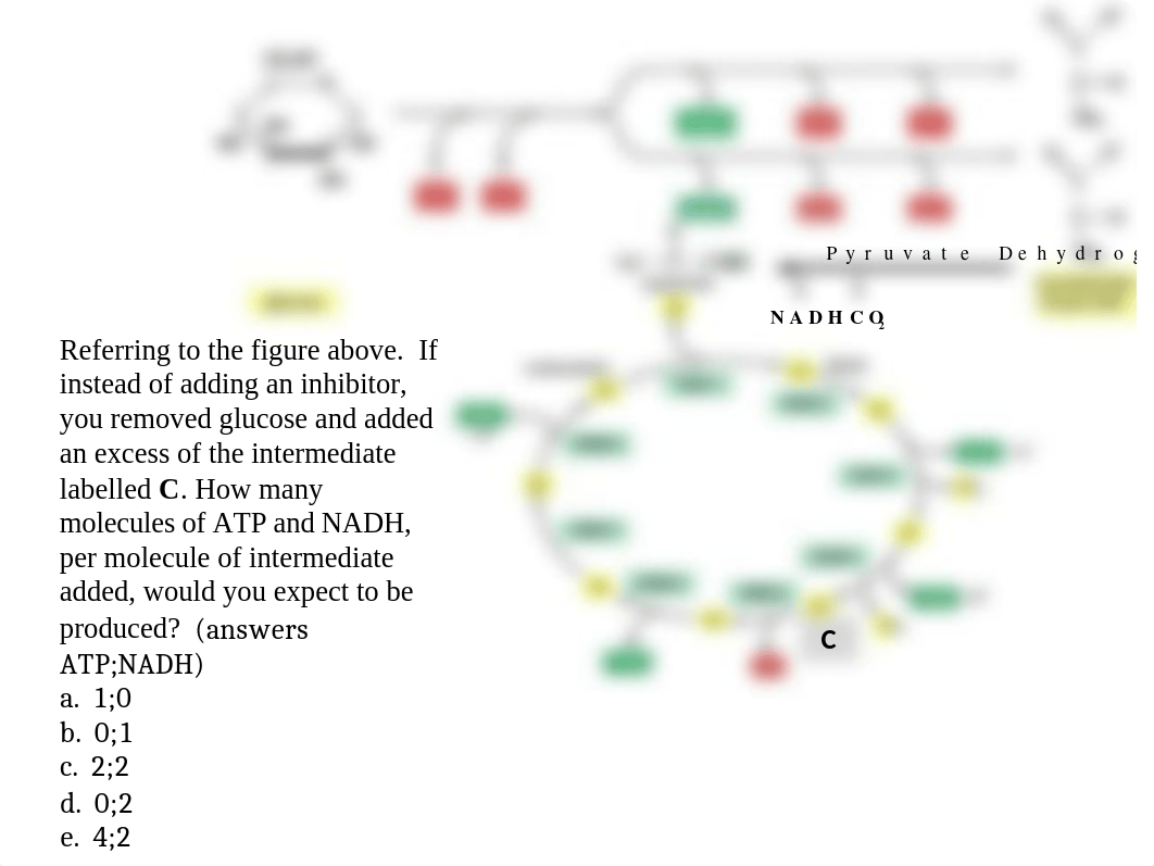 Exam 3 Review Questions.pptx_daq956apf6t_page5