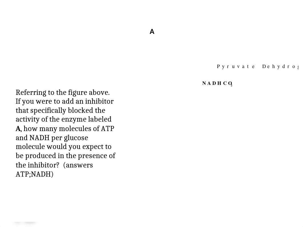 Exam 3 Review Questions.pptx_daq956apf6t_page2