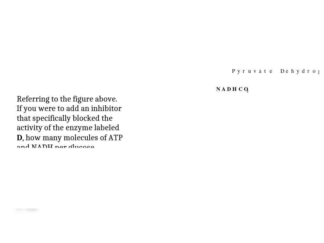 Exam 3 Review Questions.pptx_daq956apf6t_page3