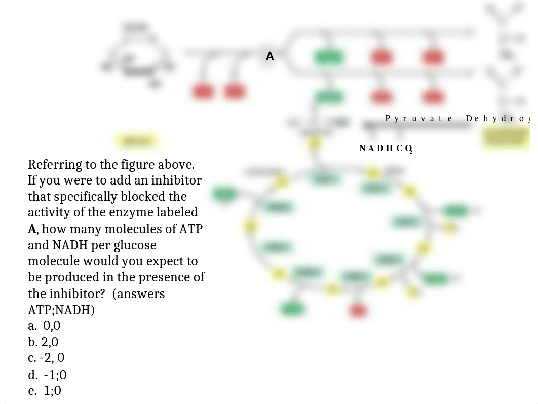 Exam 3 Review Questions.pptx_daq956apf6t_page1