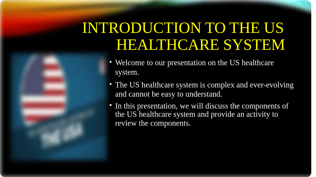 Understanding the US Healthcare System.pptx_daqc82s2yvx_page3