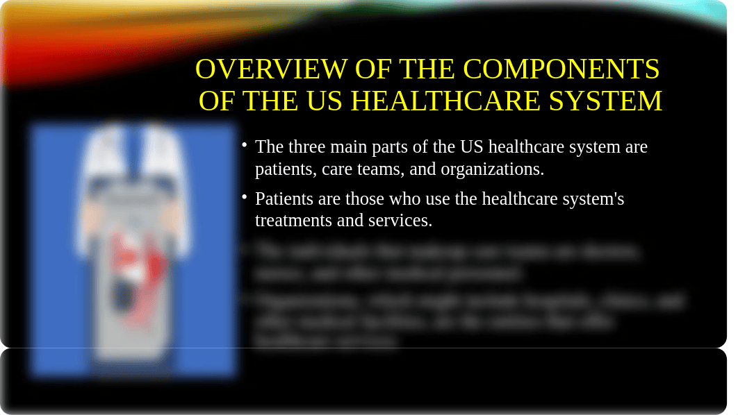 Understanding the US Healthcare System.pptx_daqc82s2yvx_page4