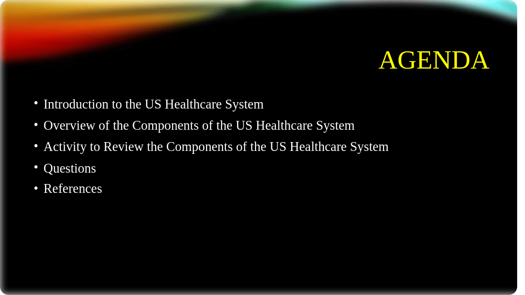 Understanding the US Healthcare System.pptx_daqc82s2yvx_page2