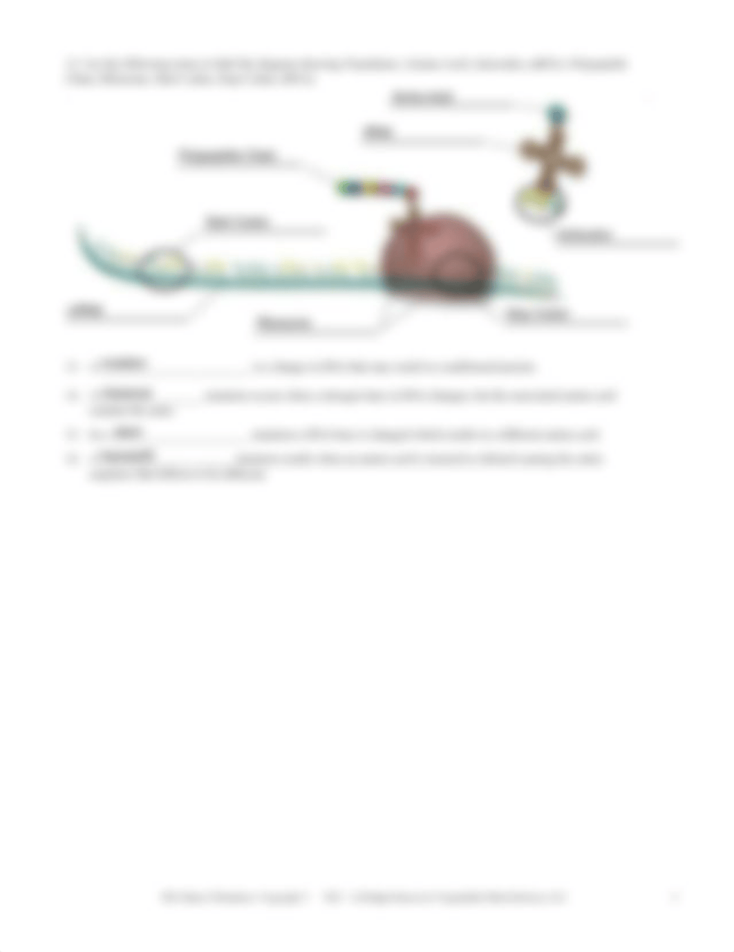 Lab 3 - DNA Basics.pdf_daqcz0iwerz_page2