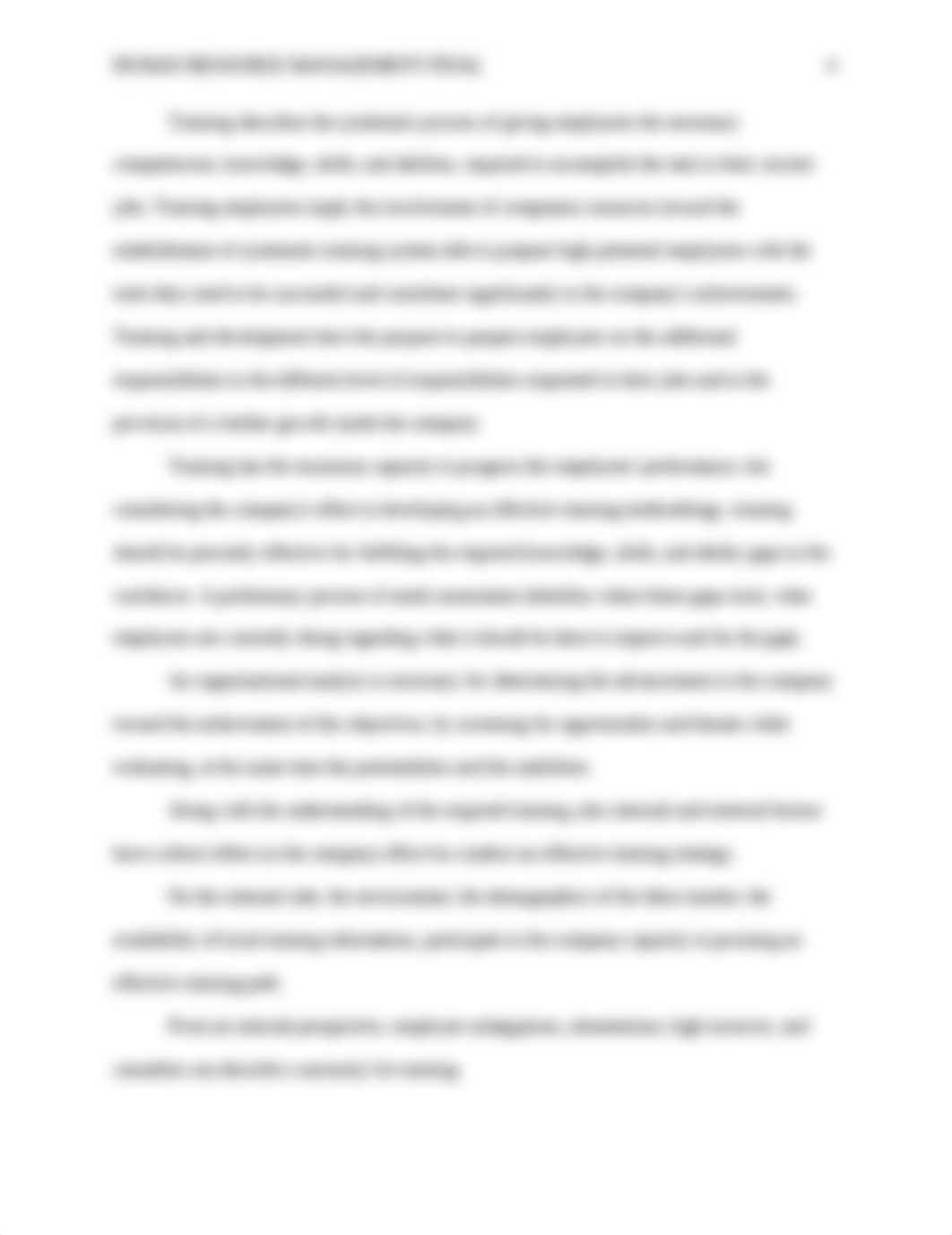 MGT510 - Final Essay.doc_daqdhlwwhhd_page4