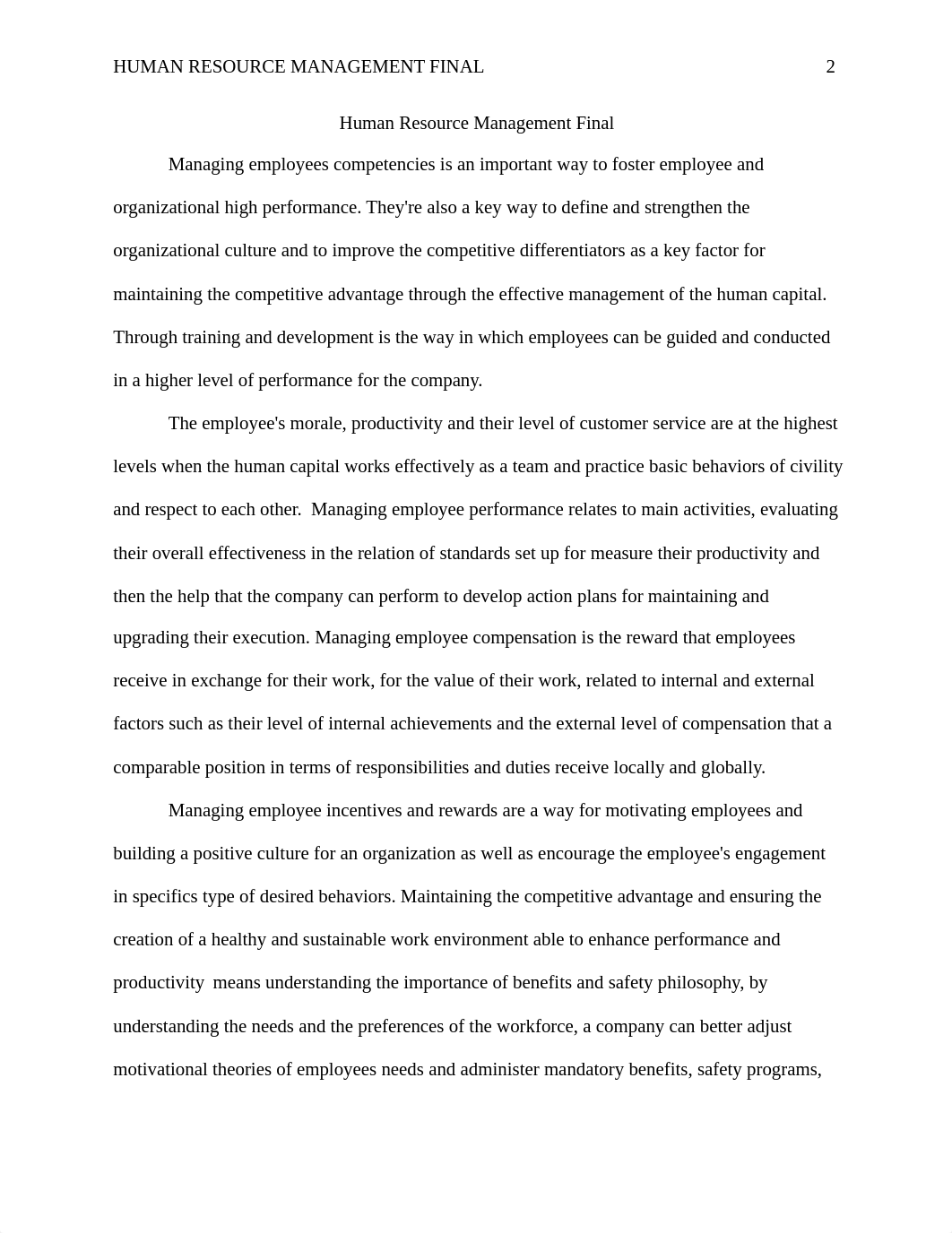 MGT510 - Final Essay.doc_daqdhlwwhhd_page2