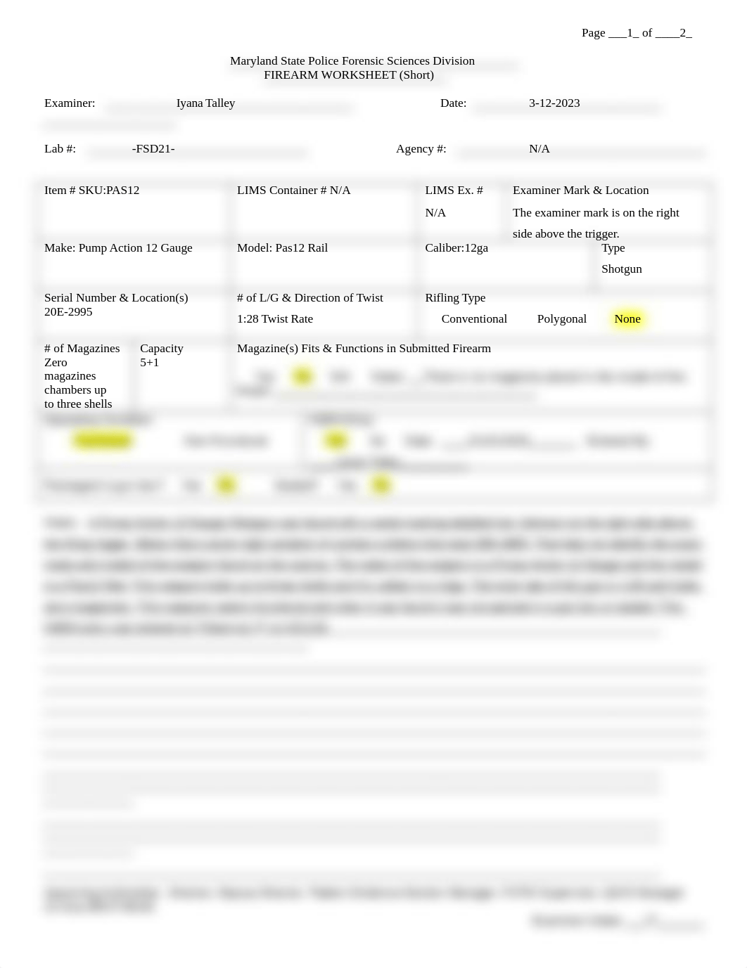 Firearm Report..doc_daqhcy8xc9e_page1