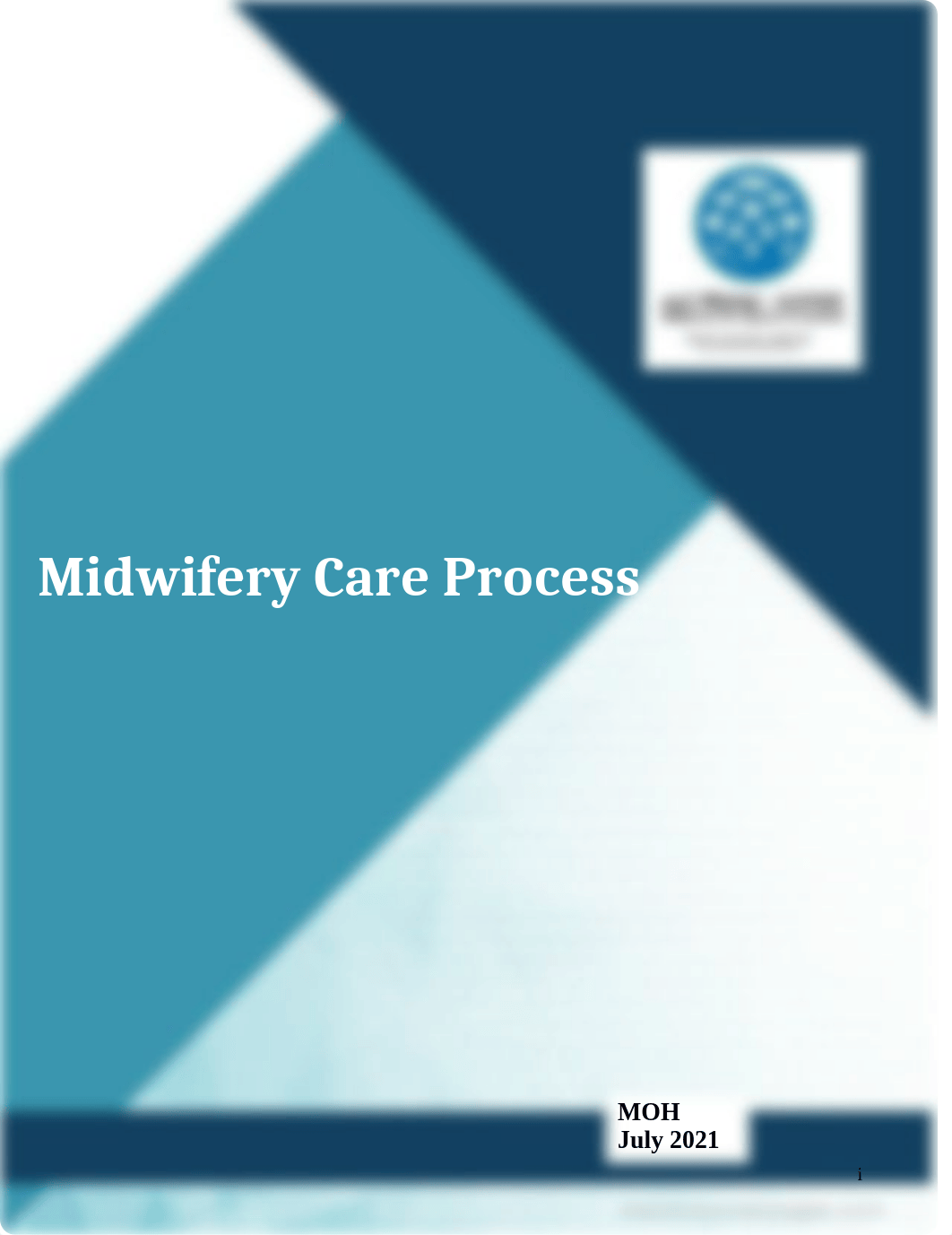 Midwifery care process.doc_daqjkb0gxw4_page1