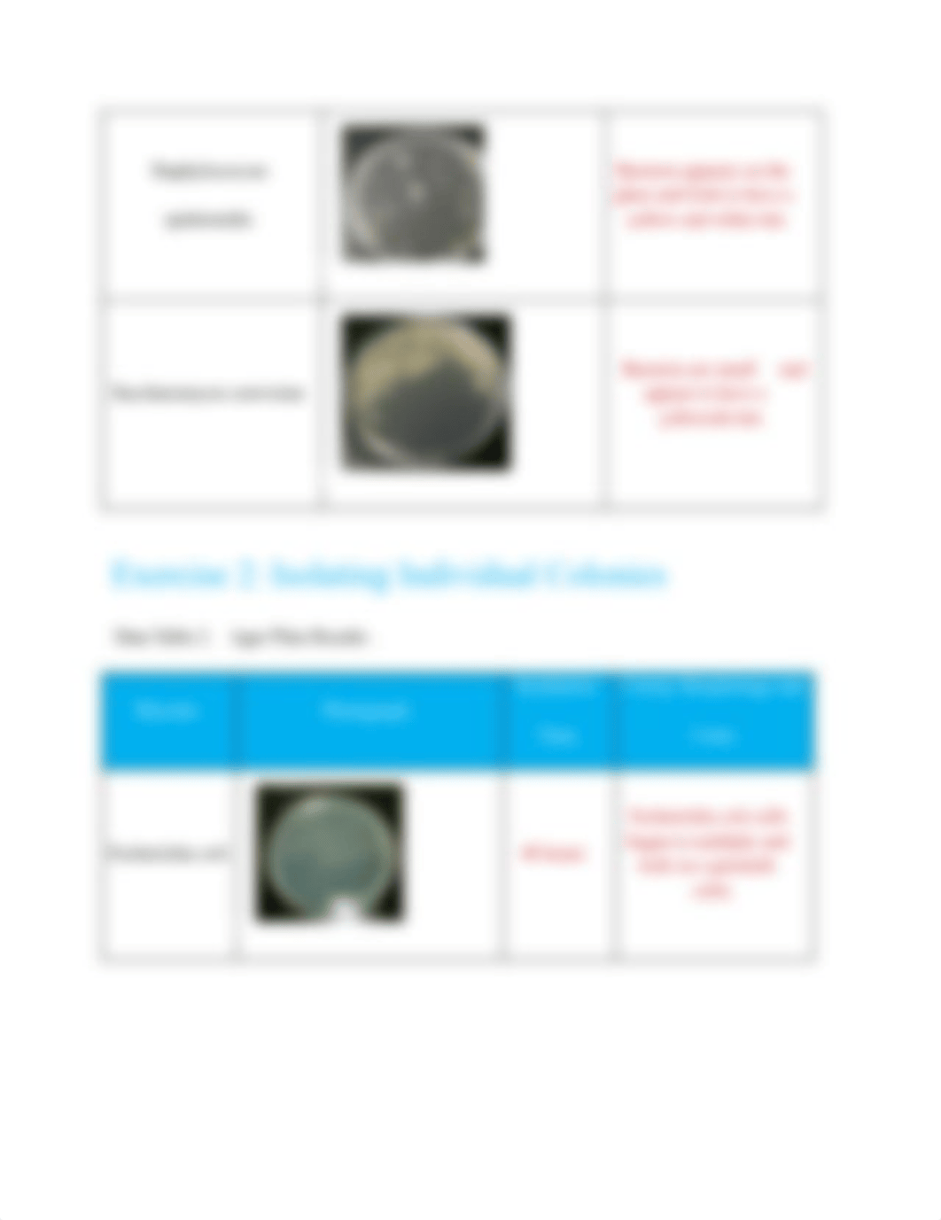 module 3 lab report_daqwcyllyi9_page2