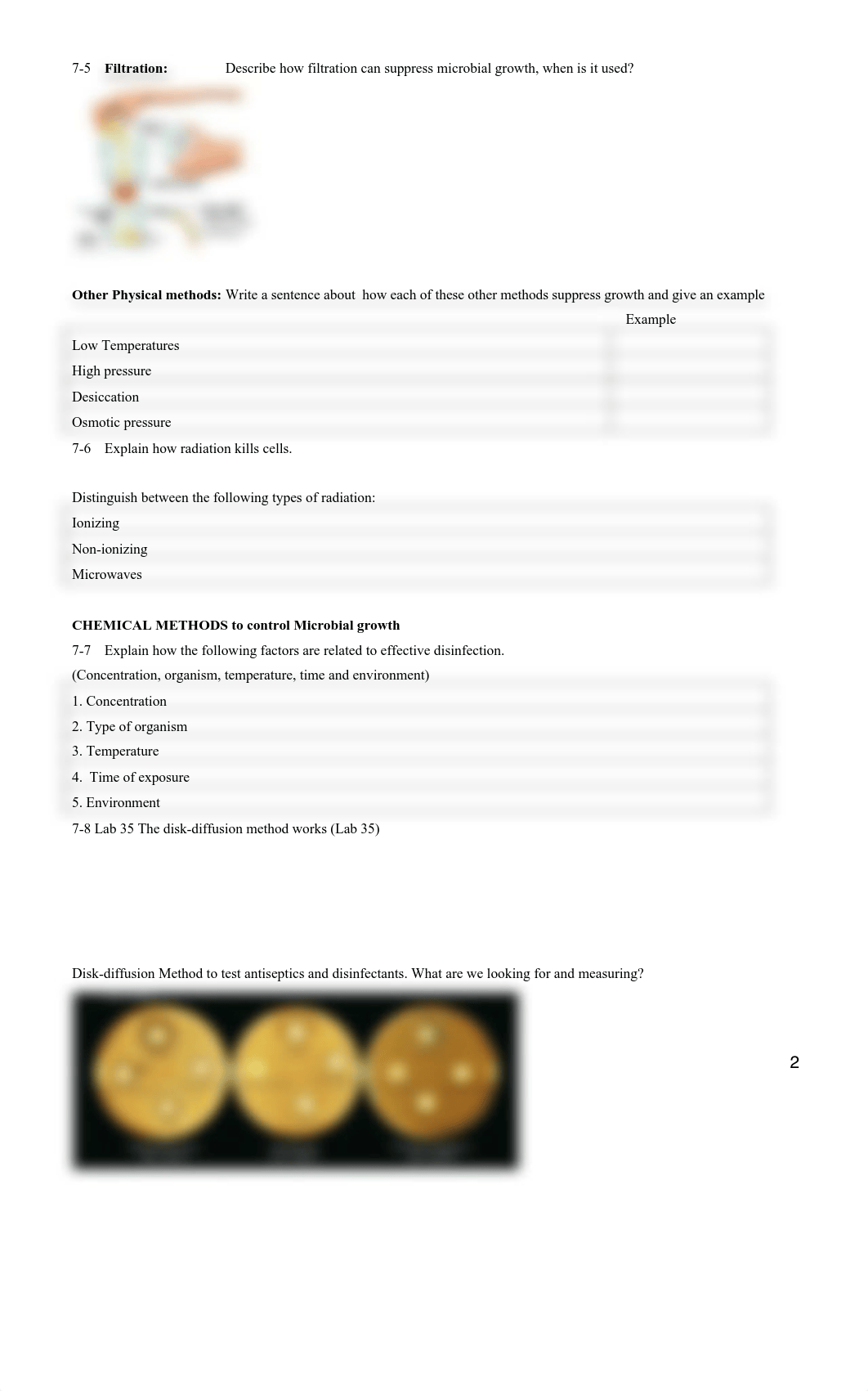 2019 MCB Chapter 7 Study guide -1.pdf_daqxu1212g2_page2