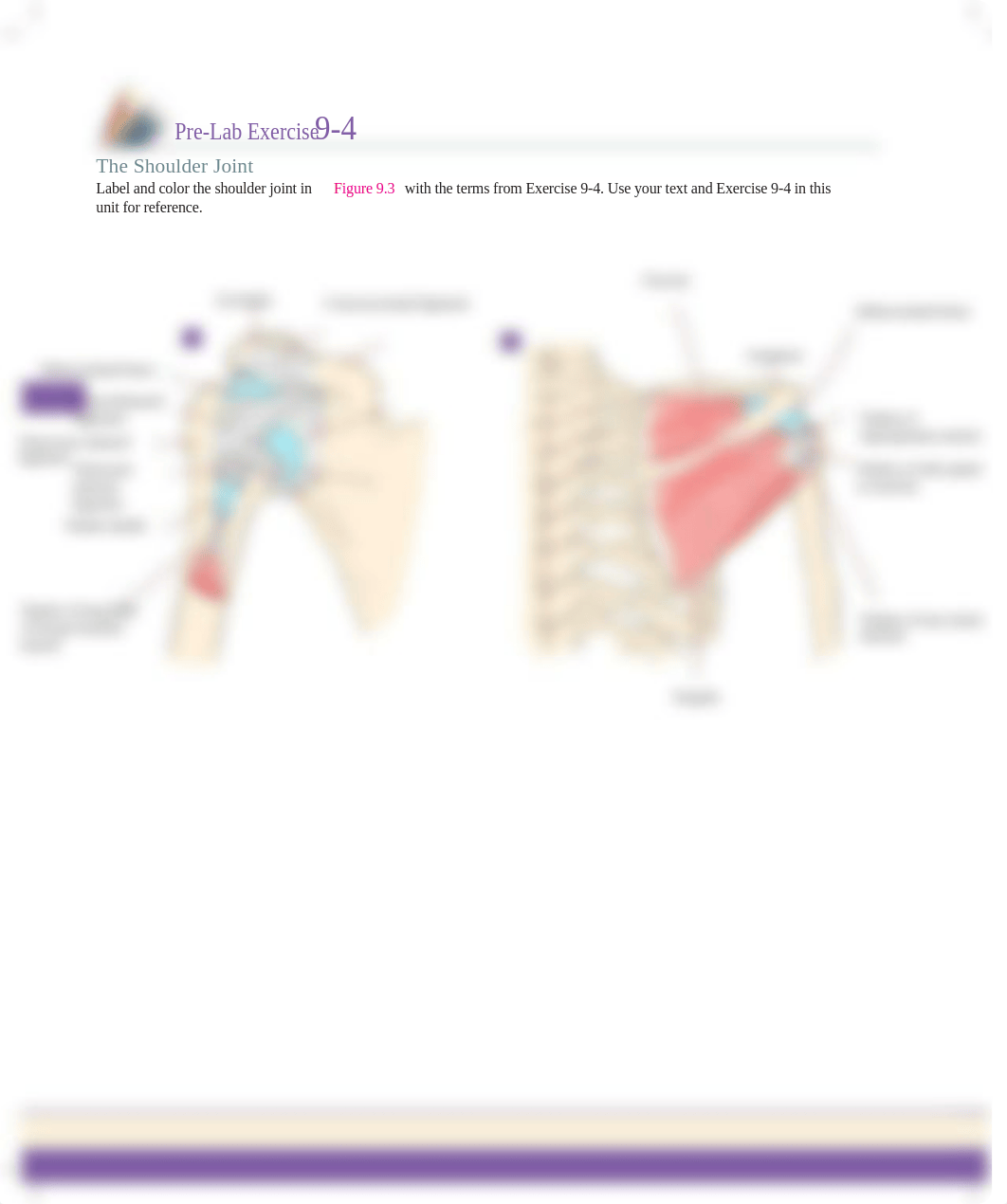 Unit 9 pre lab ex 9-4.pdf_daqy6rjexw9_page1