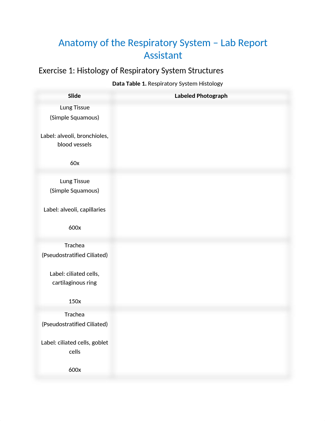 48 - Lab 7 Anatomy_of_the_Respiratory_System_RPT (1).docx_dar0yihq9e4_page1