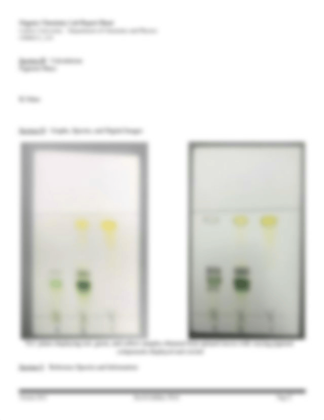 column chromatography lab.doc_dar1uaho4hr_page2