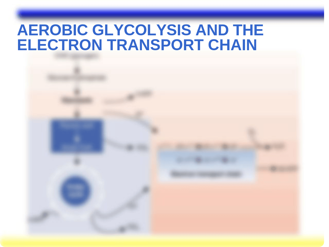 aerobic_dar3cmb4kgg_page4