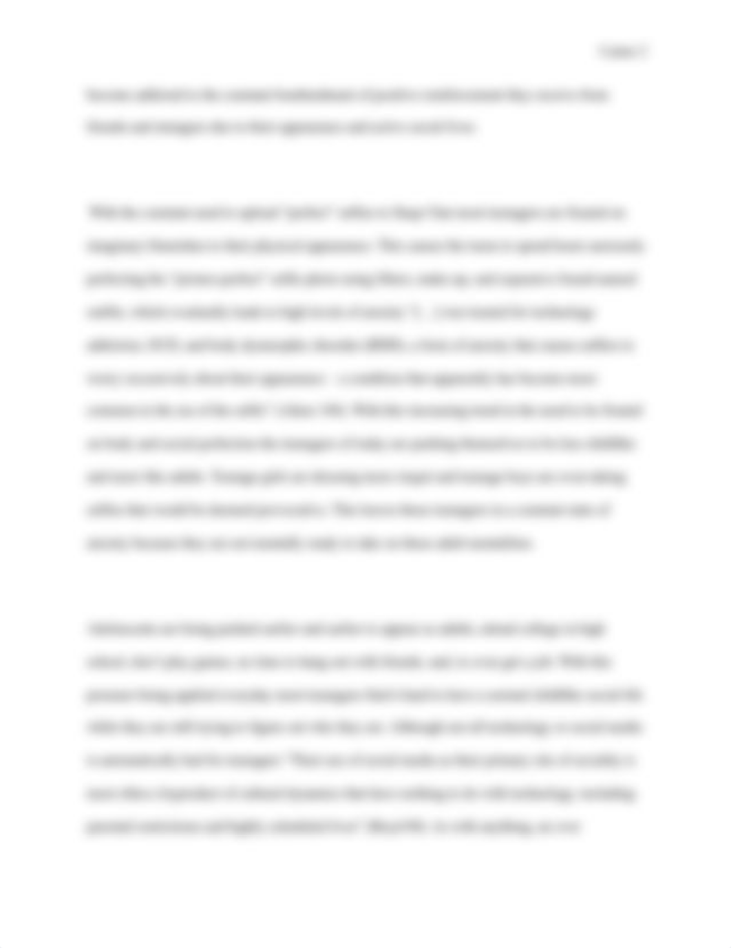 Final Argument Essay.docx_dar461hl9d9_page2