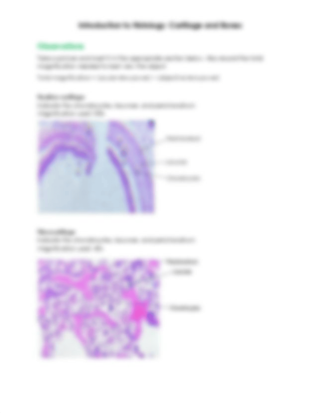 BIO2101 Introduction to Histology_Cartilage and Bones_Answer sheet.docx.pdf_dara06xuez4_page1