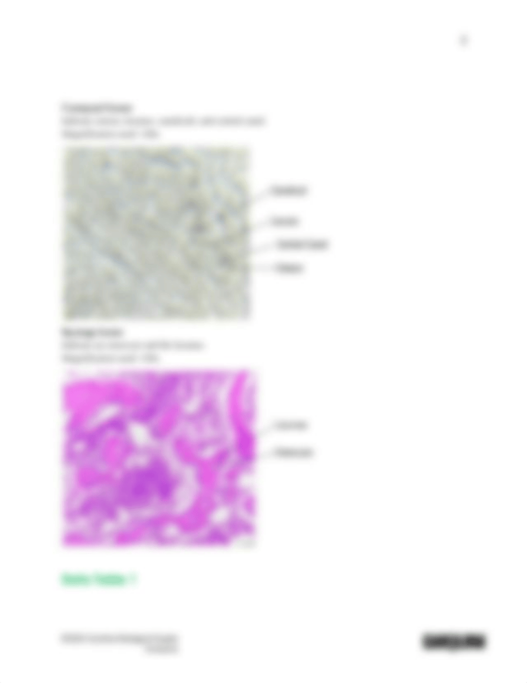 BIO2101 Introduction to Histology_Cartilage and Bones_Answer sheet.docx.pdf_dara06xuez4_page2