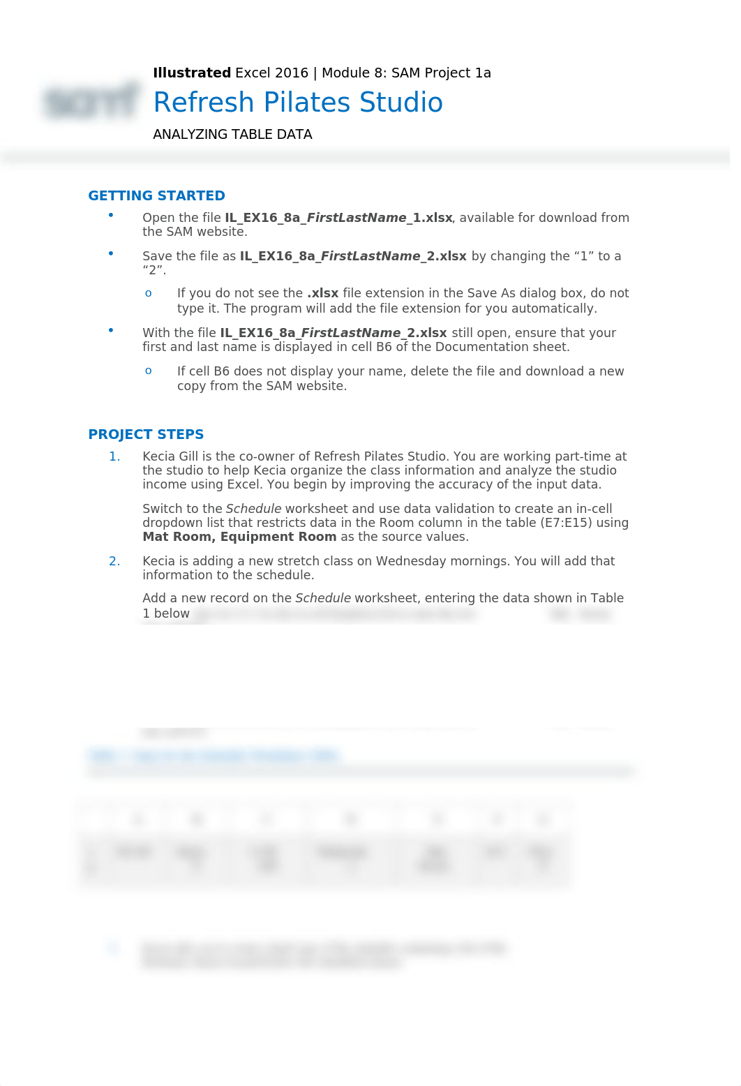 Instructions_IL_EX16_8a.docx_darczgdvahq_page1