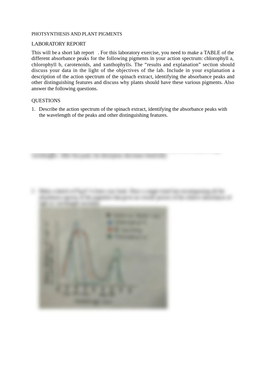 PHOTSYNTHESIS AND PLANT PIGMENTS answer sheets(1) (1).docx_darexdkkq3z_page1