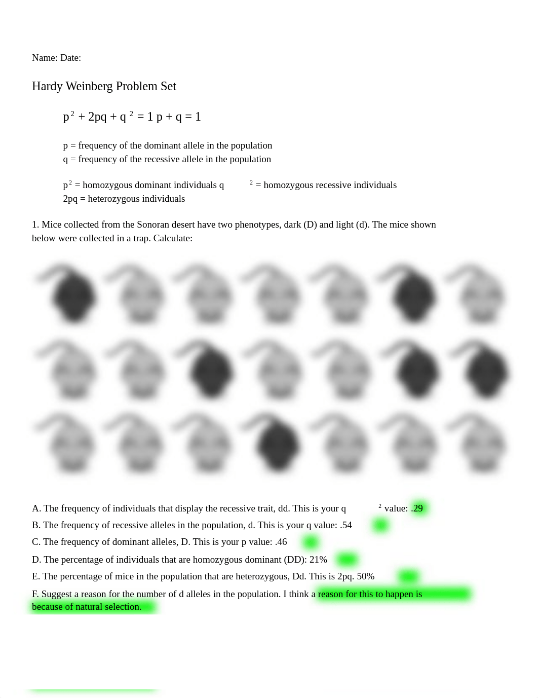 Hardy Weinberg Problem Set.pdf_darg6hbb79i_page1