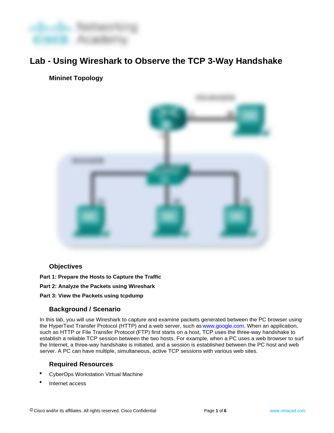 4.5.2.4 Lab - Using Wireshark to Observe the TCP 3-Way Handshake.docx_darvos2c8cd_page1