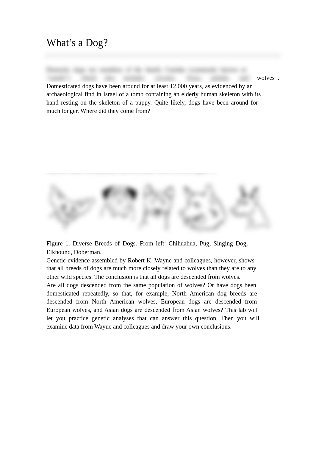 BIOL220_Domesticating_Dogs_Phylogeny Lab_F21_post (1).pdf_darx408q4v2_page2