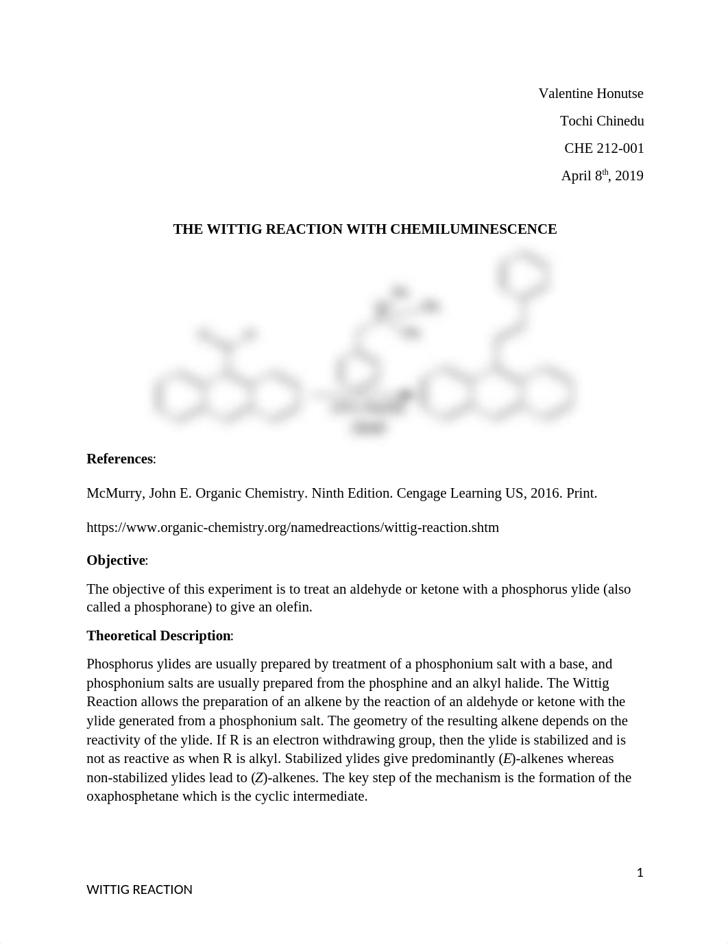 WITTIG ORGO Special projects.docx_das6hzphr14_page1