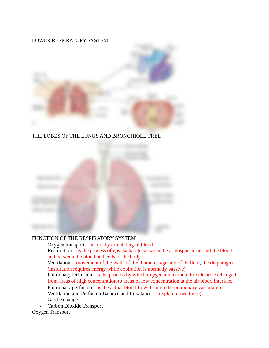 Chapter 20 ASSESSMENT OF RESPIRATORY FINCTION.docx_dasacxv4k1t_page2