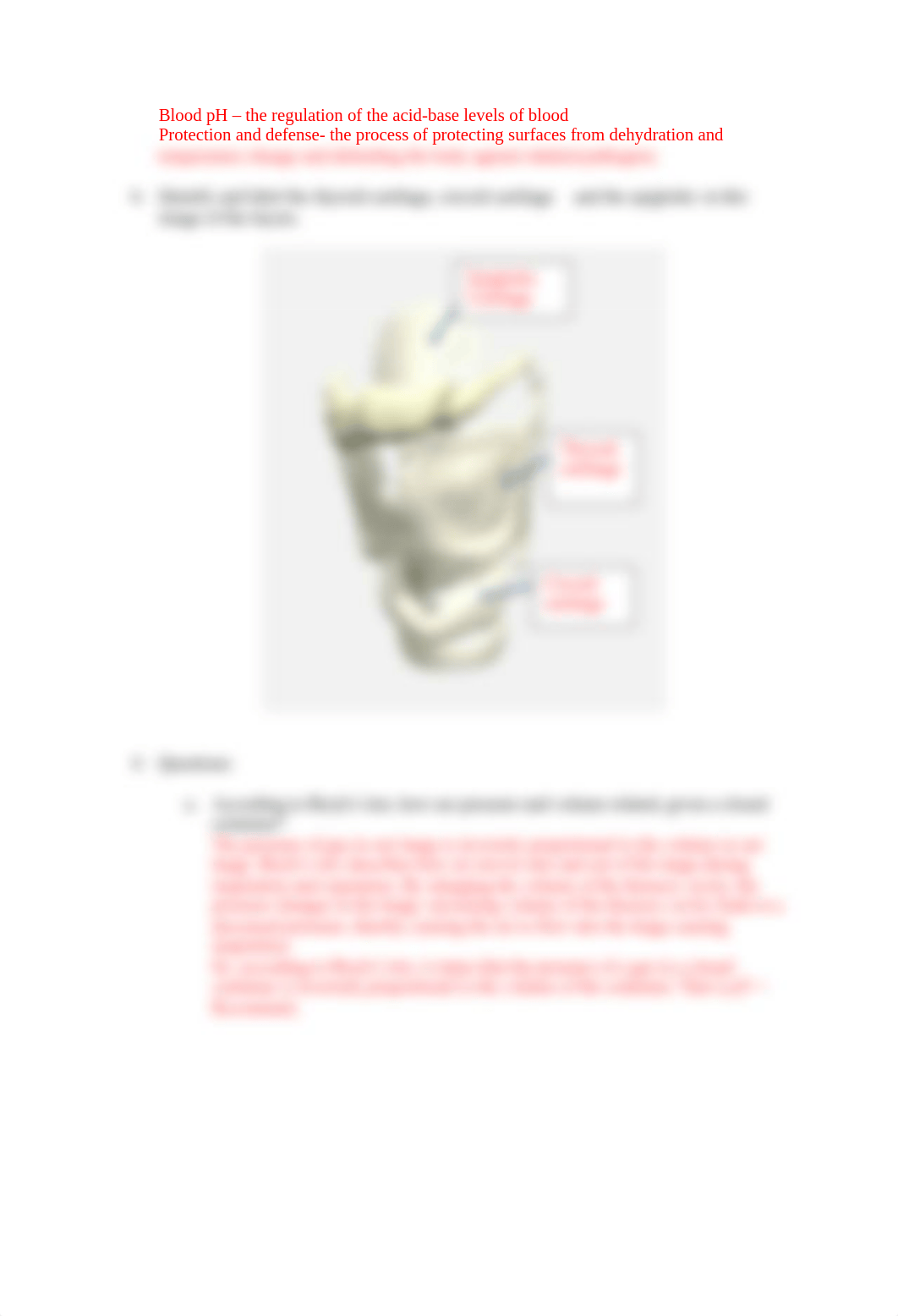 BIOS255 Week 6 Respiratory System-Anatomy.docx_dasgrc9n5vg_page2