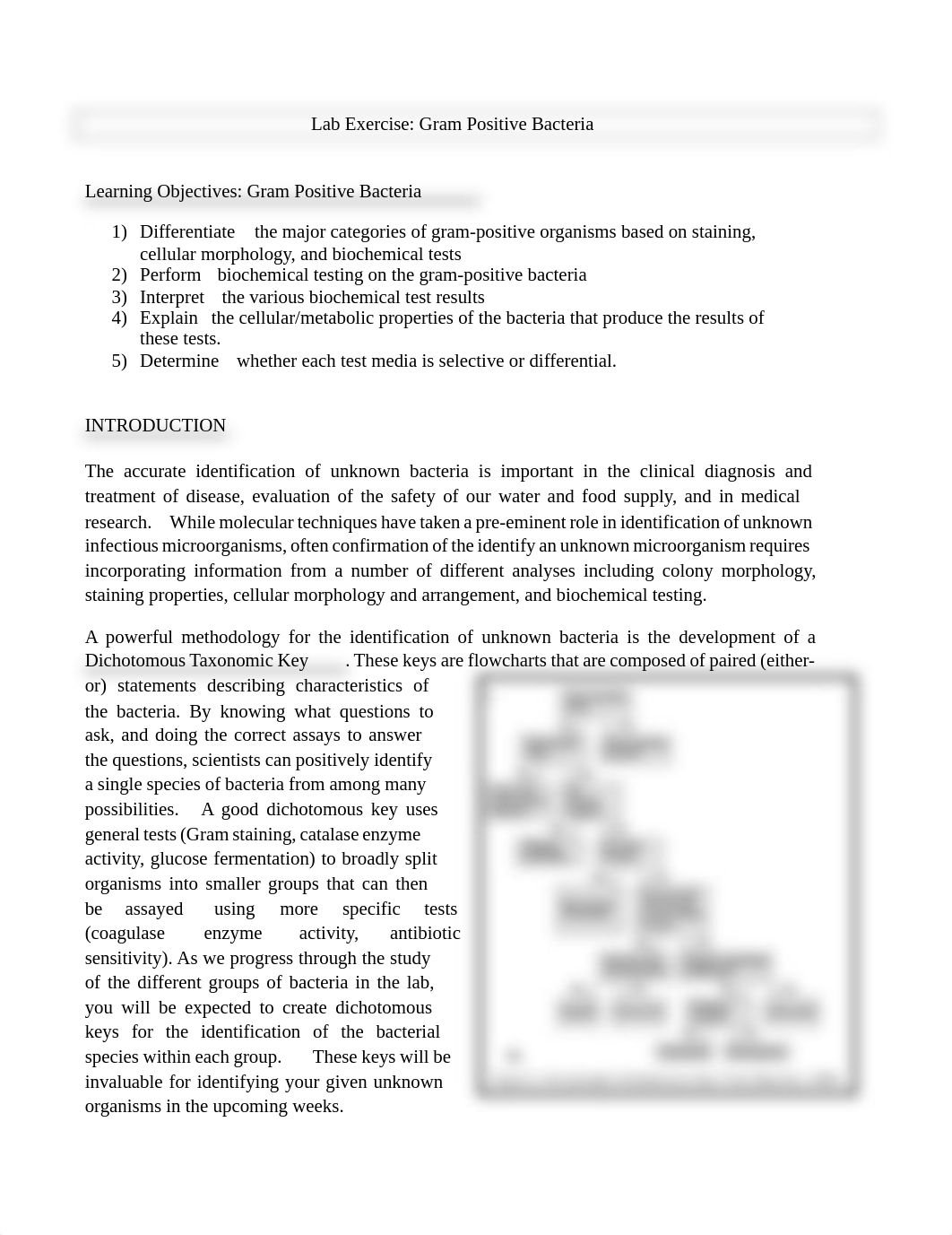 Lab 03- Exercise_Gram Positive Bacteria(3).pdf_dasmmrjjx8u_page1