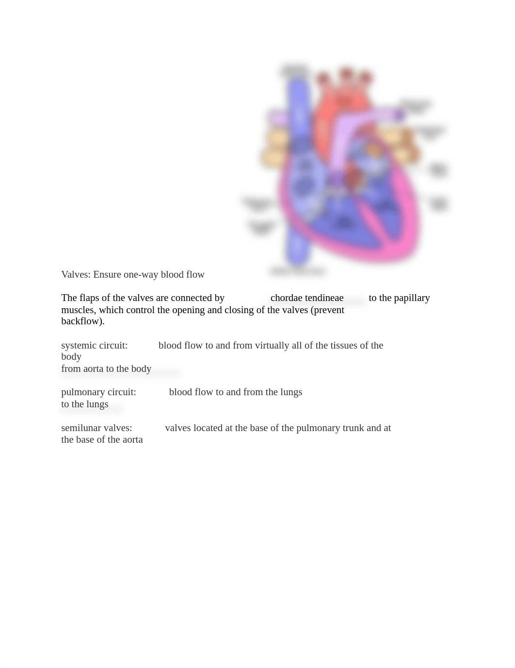 Blood Flow Through the Heart 1.docx_dasyu6eb2nm_page2