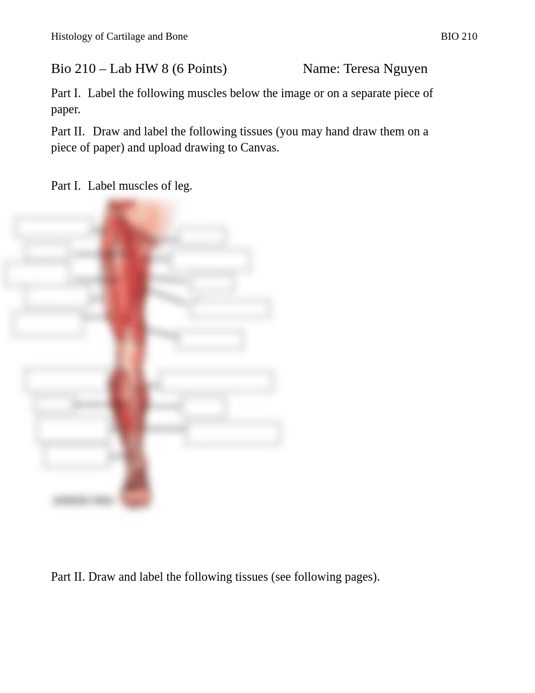 Lab HW 8 Muscles of Leg.pdf_dat0xaq7qxp_page1