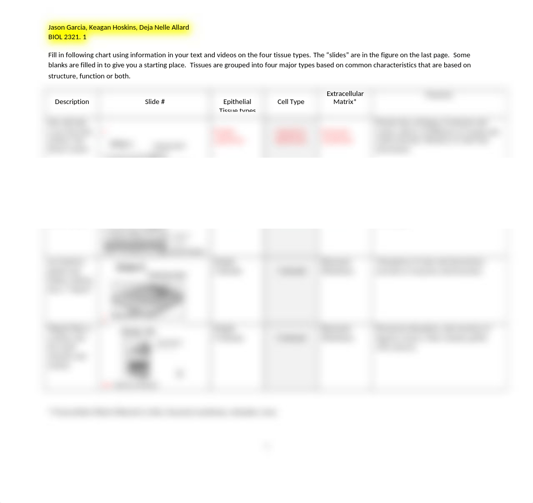 Tissue Group Activity worksheet.docx_dat1d2zq2io_page1