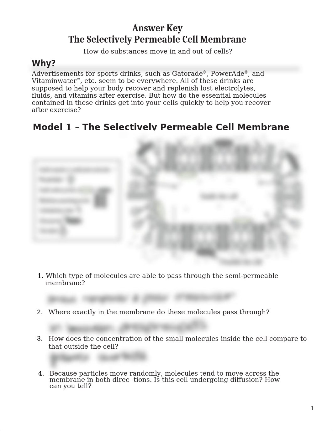 The selectively Permeable Membrane -S edited answer key_ADAC.docx_dat401s9jb4_page1