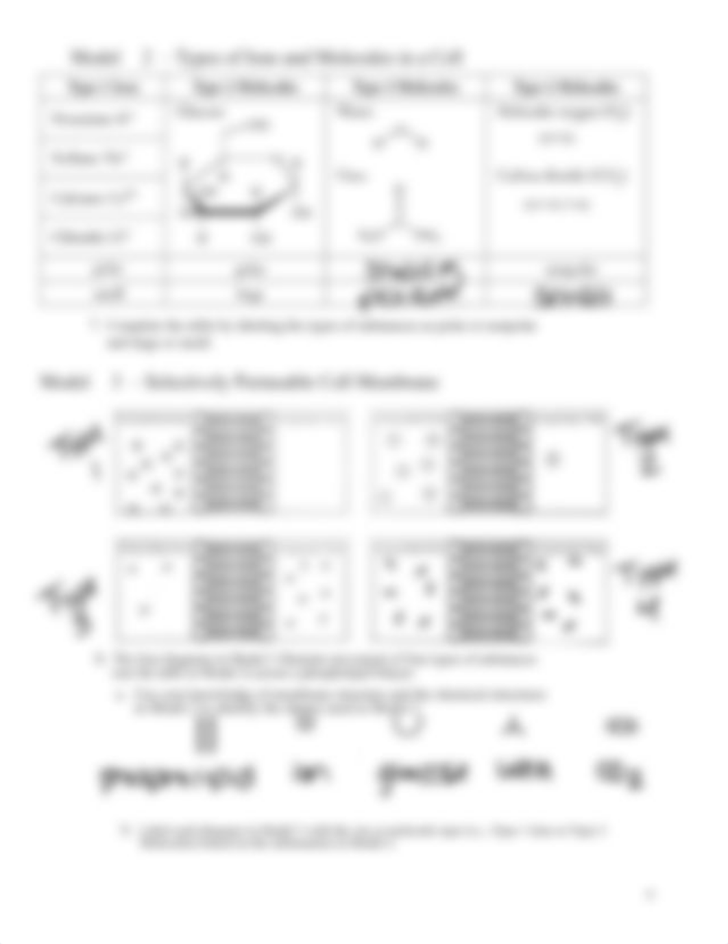 The selectively Permeable Membrane -S edited answer key_ADAC.docx_dat401s9jb4_page4